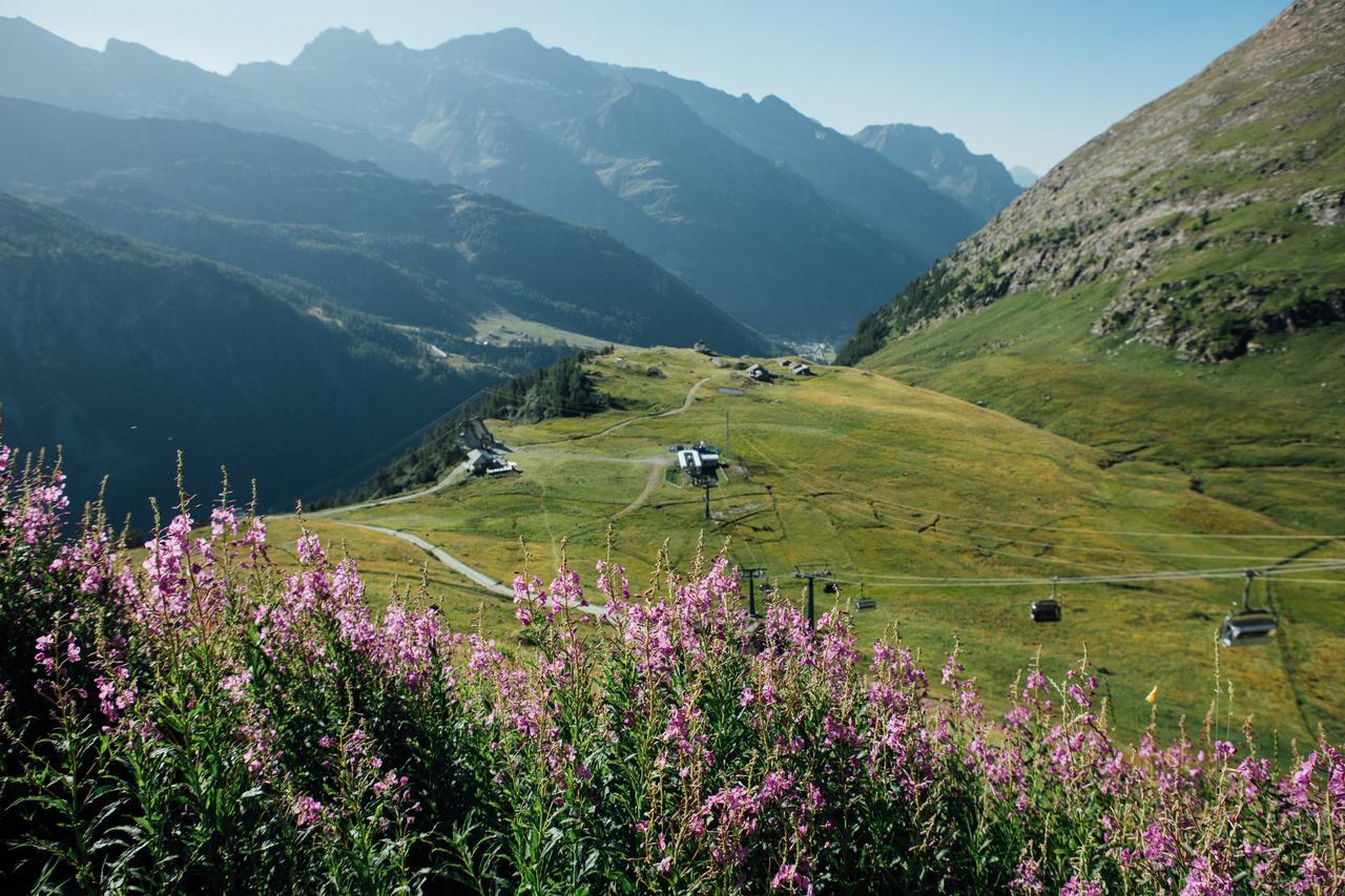 Albergo Ristoro Sitten - 2300 Mt Gressoney-La-Trinite Luaran gambar
